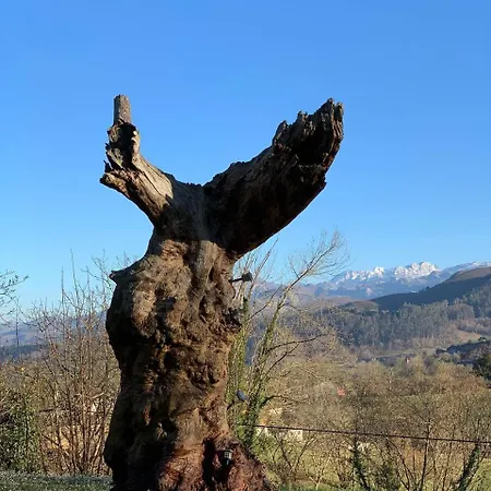 アパート Aptos Rurales Mirador Picos De Europa