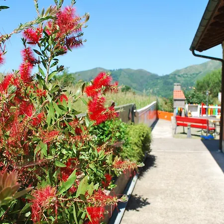 Aptos Rurales Mirador Picos De Europa *