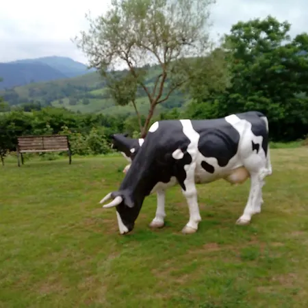 Aptos Rurales Mirador Picos De Europa アパート Onís