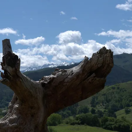 Appartamento Aptos Rurales Mirador Picos De Europa *